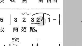 三明葫芦丝教学视频,入门到精通的音韵之旅