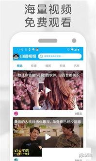在线播放小视频,在线播放小视频的精彩瞬间回顾