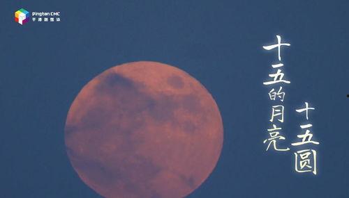 中秋节短视频,共赏中秋夜