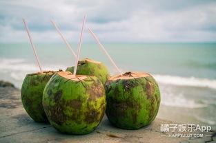 椰子怎么开视频,轻松掌握椰子开壳技巧