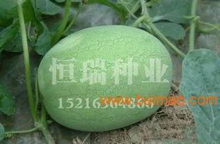南充吃瓜爆料公司电话地址,电话地址全公开，一探究竟