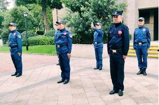三步交接岗视频,高效岗位传承秘诀解析