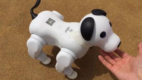 机器狗视频,机器狗视频带你领略未来宠物风采