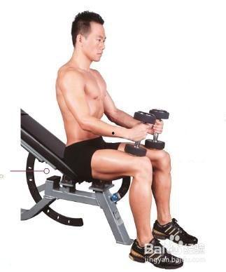 男士哑铃锻炼方法视频