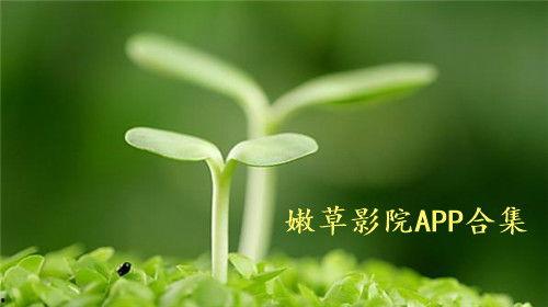 欠草免费视频,揭秘热门影视资源免费获取之道