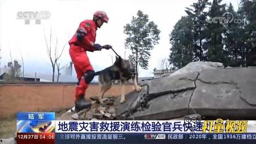 地震演习视频,模拟灾难，提升应急响应能力