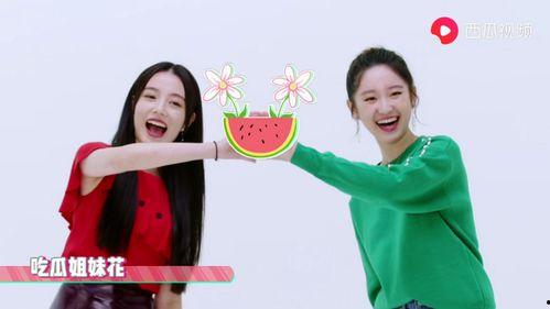 吃瓜爆料袁泉视频在线观看,吃瓜群众热议幕后花絮