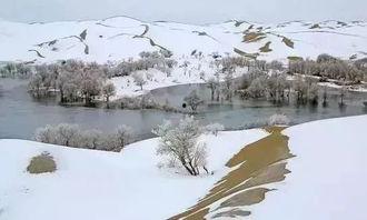 今日瓜州下雪没有,银装素裹，冬日美景如画
