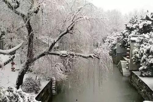 今日瓜州下雪没有,银装素裹，冬日美景如画