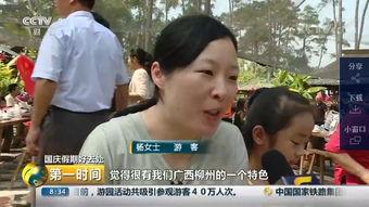 柳州莫箐视频,探寻柳州美食与文化的独特魅力