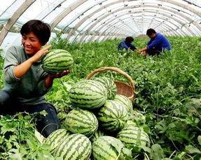 天津4s吃瓜爆料事件,揭秘汽车销售行业潜规则