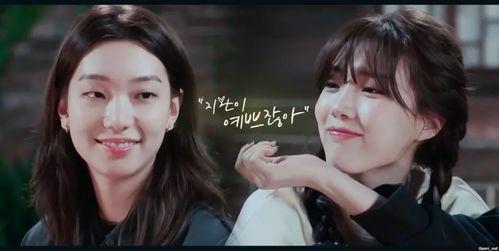 百合视频在线观看,在线观看百合视频的精彩之旅