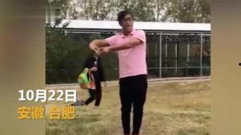 托班幼儿舞蹈视频大全,托班幼儿舞蹈视频精选集锦