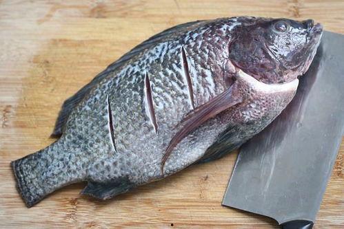 今日红瓜鱼多少钱一斤啊,一斤多少钱？