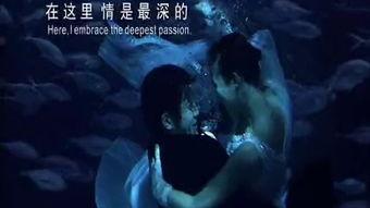 特级性生活视频,激情四溢的私密瞬间