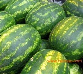 莘县瓜批发市场今日价格,新鲜瓜果行情一览”