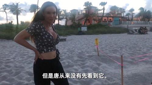 欧洲熟妇视频,探寻成熟魅力与生活智慧