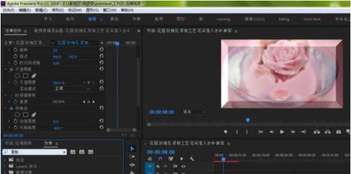 视频剪辑的软件,打造精彩瞬间，轻松制作专业视频