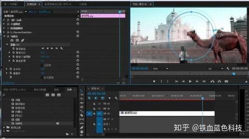 视频剪辑的软件,打造精彩瞬间，轻松制作专业视频