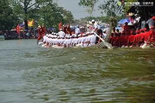 赛龙舟的视频,共赴竞渡情