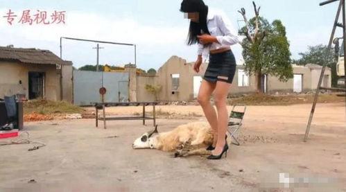 捆绑性虐视频,揭秘虐视频背后的黑暗真相