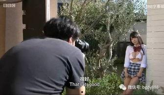 日本黄色片视频,背后真相与影响