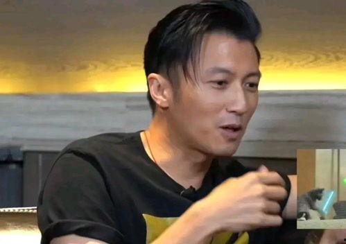 谢霆锋 视频,美食与音乐的跨界传奇