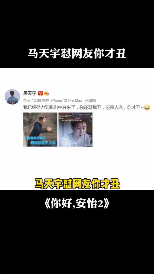 你好视频,探索现代沟通的艺术与魅力