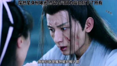 东宫视频剪辑,穿越时空的爱恋，揭秘宫廷秘辛