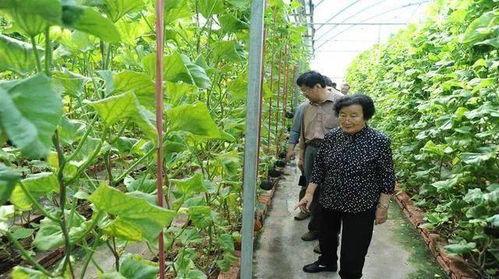 郑州最新吃瓜事件爆料是真的吗,真相揭秘还是网络谣言？