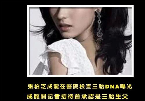 张柏芝三级视频,揭秘娱乐圈的隐秘往事