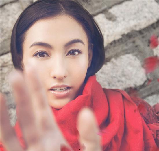 张柏芝三级视频,揭秘娱乐圈的隐秘往事