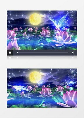 古典视频,古典视频的永恒魅力