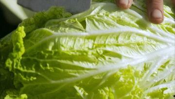 白菜视频,揭秘短视频时代的魅力与挑战