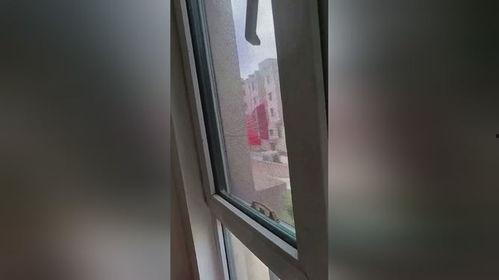 窗外视频,捕捉瞬间美好，记录生活点滴