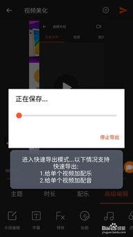 手机录的视频怎么剪切,轻松制作精彩概述