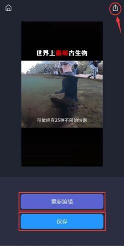 视频水印去掉,揭秘视频水印去除背后的技术奥秘