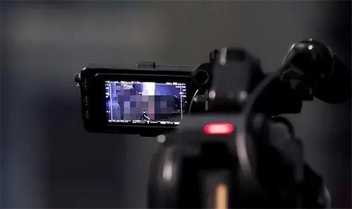 5视频,揭秘XX领域的核心秘密