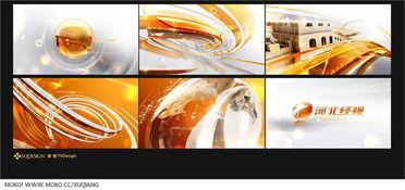 视频道,探索新媒体传播的奥秘