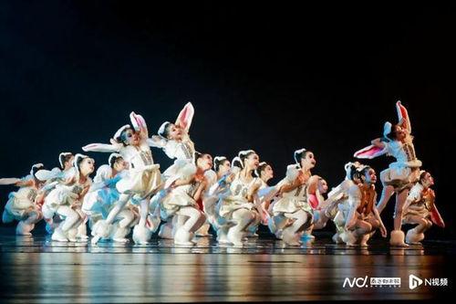 少儿舞蹈视频,少儿舞蹈视频魅力瞬间回顾