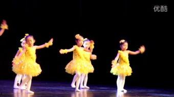 歌曲舞蹈视频,歌曲舞蹈视频魅力解析