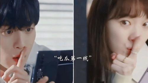 吃瓜爆料夫妇小说,吃瓜爆料夫妇的甜蜜较量