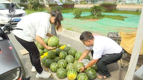 黑科吃瓜免费,揭秘娱乐圈背后的秘密与真相