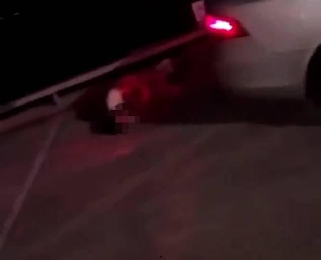 流浪视频,见证人间冷暖