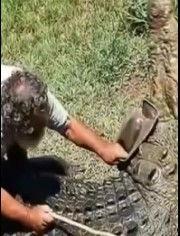 人与动物交视频,揭秘人类与动物亲密互动的瞬间