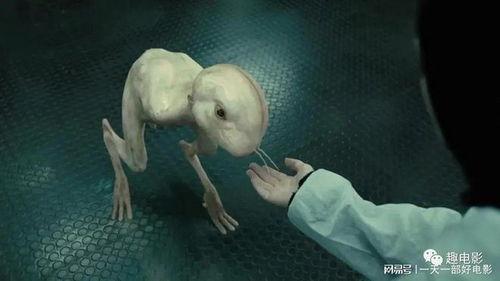 人与动物交视频,揭秘人类与动物亲密互动的瞬间