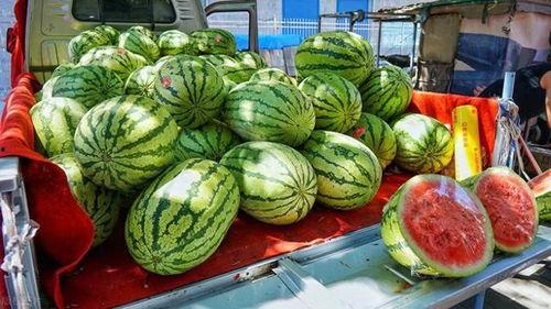 淄博吃瓜爆料事件真相视频,真相视频揭秘背后的真相