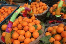 杏红视频,揭秘生活美好瞬间，感受人间烟火气