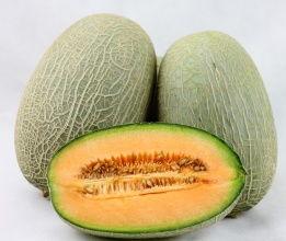 民勤哈密瓜价格今日价,价格行情一览