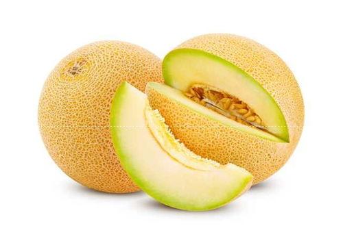 民勤哈密瓜价格今日价,价格行情一览